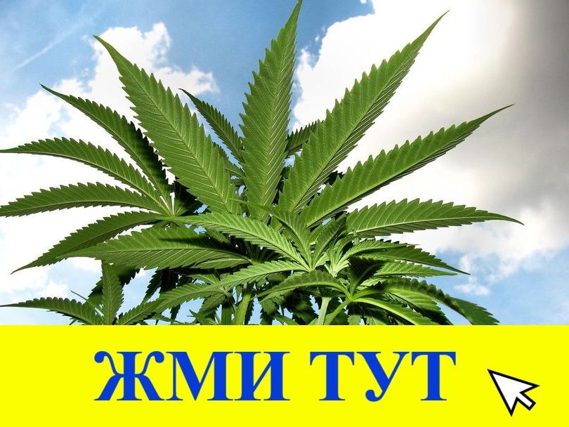 Купить наркотики в Усть-Лабинске